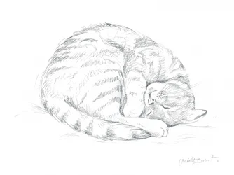 Dibujo de un gato dormido