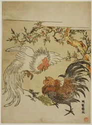 Gallos peleando bajo un árbol