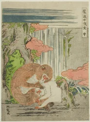 Mono (Saru), de la serie "Doce signos del zodiaco a la moda (Furyu juni shi)"