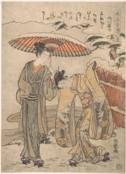 Nieve vespertina en Uchikawa