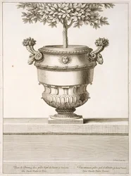 Urnas de bronce usadas para árboles cítricos, ilustración de 