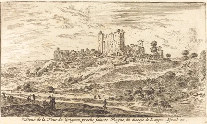 Vista de la Torre de Grignon