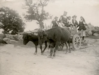 Familia en carro tirado por bueyes, Cerdeña, Italia, hacia 1910