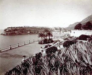 Panorama de Montecarlo. En primer plano, densa vegetación de plantas de agave y cactus