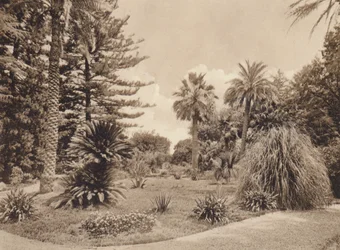 Sicilia / Sicilia: Villa Tasca, Palermo (foto b/n)