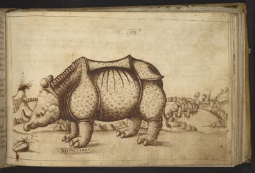 Agregar. 82955, f.172 Rinoceronte., de Historia Animalium