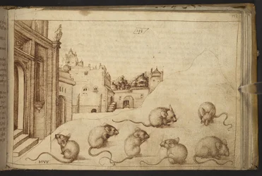 Agregar. 82955, f.192   Ratones (