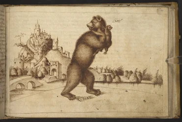 Agregar. 82955, f.199   Osos (