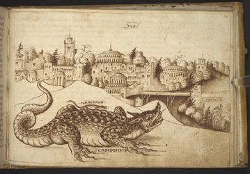 Agregar. 82955, f.243 Un cocodrilo (