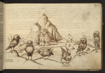 Agregar. 82955, f.40 Aves. (