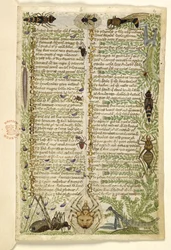 Añadir MS 28841 f.006r Parte de un tratado en prosa sobre los Siete Vicios y un verso sobre acontecimientos de la historia de Sicilia en la época de Federico II, por Cocharelli, c.1330-40