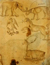 Animales (pluma, tinta y aguada sobre papel)