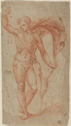 Apolo, c.1510-1540 (tiza roja)