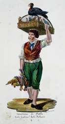 Vendedor de pollos, Italia