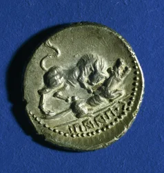 Moneda de las tribus itálicas mostrando un toro atacando a la loba romana, 89-90 a.C.