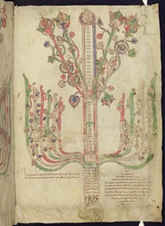 Corpus Christi Oxford MS 255A f.11r Árbol que representa la genealogía de figuras bíblicas en el Nuevo Testamento