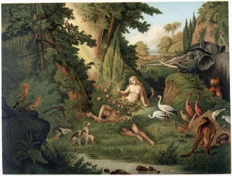 Creación de Eva del muslo de Adán - en “Aurea Bibbia classica: historia de la revelación divina en el antiguo y nuevo testamento” por Giovanni Ladislao Sykora (vol. 1), traducido por Don Clemente Benetti. (Biblia italiana)