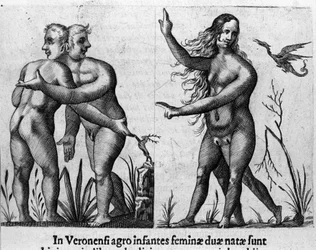 Diferentes tipos de monstruos humanos: un hombre con cuerpos y cabezas dobles y una mujer con cuatro piernas y dos sexos. Grabado de “De monstrorum natura, causis et differentiis” de Fortunio Liceti (1577-1656), científico italiano. 1646