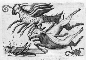 Diferentes tipos de animales monstruosos. Grabado de “De monstrorum natura, causis et differentiis” de Fortunio Liceti (1577-1656), científico italiano. 1646