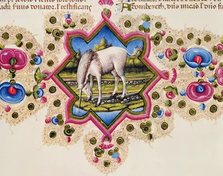 Fol.245V Un unicornio, de la Biblia de Borso d