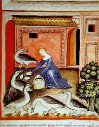 Crianza de gansos, ilustración de Tacuinum Sanitatis Codex Vindobonensis