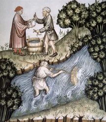 Fol.84r Pescando, ilustración del Tacuinum Santiatis Codex Vindobonensis