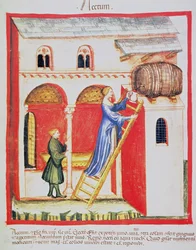 Fol.85v Vinagre, ilustración del Tacuinum Santiatis Codex Vindobonensis