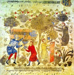 Cosecha de miel en Italia en el siglo XII
