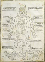 Ilustración de "Fasciculus medicinae" Venecia