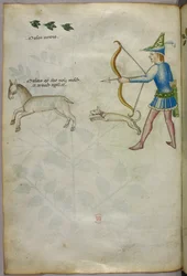 Ilustración de un hombre con un arco disparando a un animal, con un perro y pájaros encima, c.1440 (tinta y color sobre vitela)