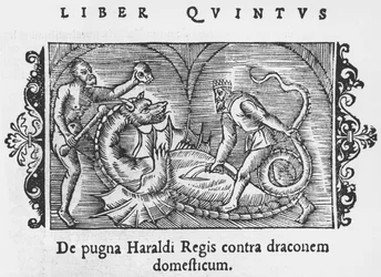 Rey Harald luchando contra un dragón, ilustración de Historia de Gentibus Septentrionalibus por Olaus Magnus, publicado en Roma, 1555