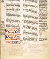 Ms. McClean 135, f.96r: detalle de una inicial historiada en forma de planta C de Gratians Decretum, finales del siglo XII