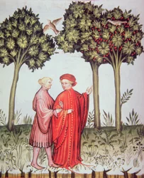 Nova 2644 fol.102v Dos amigos paseando juntos, del Tacuinum Sanitatis Codex Vindobonensis