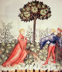 Cosecha de mostaza, de Tacuinum Sanitatis