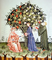 Recolección de rosas, ilustración de Tacuinum Sanitatis Codex Vindobonensis