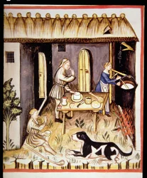 Preparación de queso blanco, de Tacuinum Sanitatis