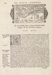 Página 742 de Historia De Gentivus Septentrionalibus por Magnus Olaus, Roma 1565