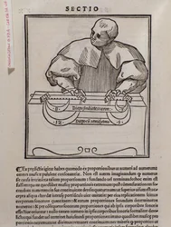 Página de Musica theorica por Lodovico Fogliani (1475?-1542) (o Ludovico Foliani) teórico musical