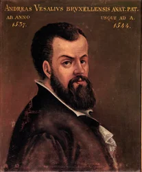 Retrato de André Vesale (Andreas Vesalius) (1514-1564), anatomista y médico de Carlos V. Pintura anónima de la escuela italiana. Siglo XVI Padua, Universidad