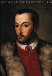 Retrato de Francesco I de Medici