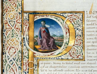 Retrato de Plinio el Viejo