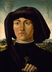 Retrato de un joven con una flor rosa, c.1475-85 (temple sobre madera)