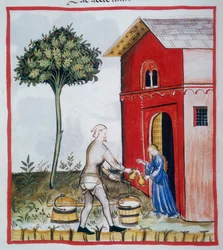 Venta de leche agria (c.59v), Tacuinum Sanitatis, Codex Vindobonensis Series Nova 2644