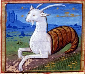 Signo de Capricornio. Horóscopo italiano, mediados del siglo XV.