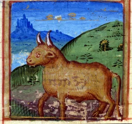 Signo del toro. Horóscopo italiano, mediados del siglo XV.