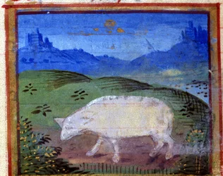 Signo del carnero. Horóscopo italiano, mediados del siglo XV.
