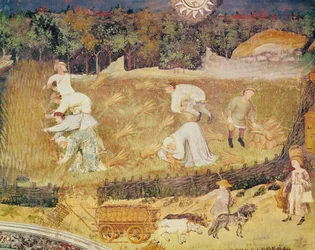 El mes de agosto, detalle de la cosecha, c.1400 (fresco)