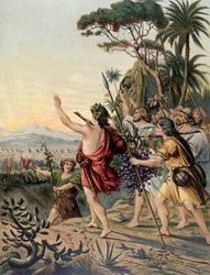 El regreso de la Tierra de Canaán - en “Aurea Bibbia classica: historia de la revelación divina en el antiguo y nuevo testamento” por Giovanni Ladislao Sykora (vol. 1), traducido por Don Clemente Benetti. (Biblia italiana)