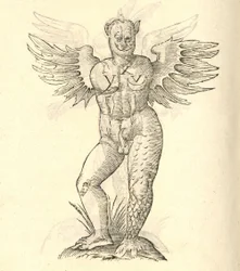 Ilustración de Monstrum cornutum, and alatum aliud de Historia de Monstruos de Aldrovandi, 1642