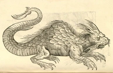 Ilustración de Orobonis Piscis effigies de Historia de Monstruos de Aldrovandi, 1642